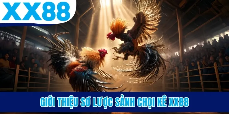 Giới thiệu sơ lược sảnh chọi kê XX88