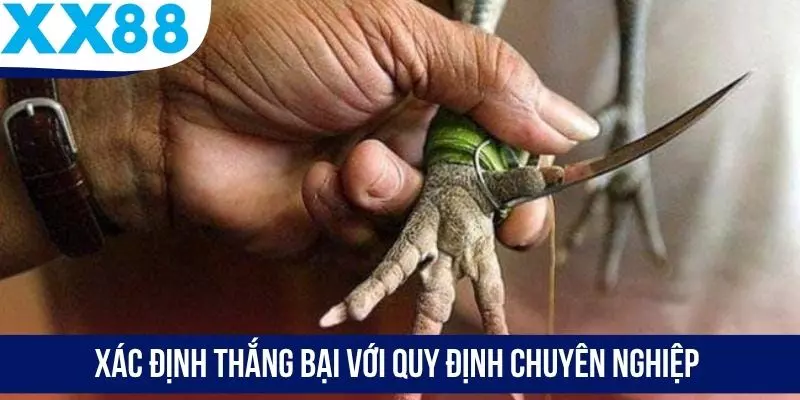 Xác định thắng bại với quy định chuyên nghiệp